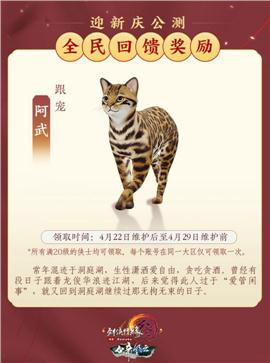 天龙八部私服雇佣兵